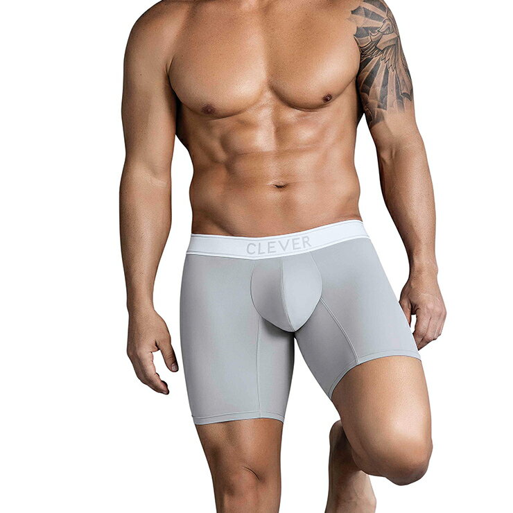 CLEVER MASCULINE LONG BOXER �����饤�� ���������� ���� ������ ����ʡ� Ω�Υե���� ���󥰥ܥ�����