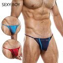 2022 NEW SEXY BOY/G-string メンズ ファッション セクシー系 下着 弾性生地 透明感 通気性 タイトフィット セクシー 吸水速乾 T-バック