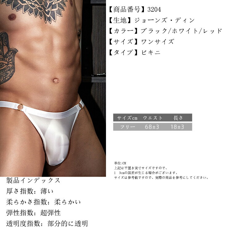 SEXY BIKINI 情熱 ローライズ セク...の紹介画像2