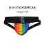 Rainbow Jock 新商品ファッション 高級編み物 虹 弾性 情熱 ショー メッシュ素材 ローライズ 通気性 セクシー ジョックストラップ