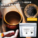 CACAONIBS CHAI カカオニブ チャイ スパイス ミックス 2パック cacao nibs チャイスパイス セット チャイの 素 無添加 茶葉 スパイスチャイ マサラチャイ チャイティー スパイスティー 美味しい おいしい ジンジャー カルダモン シナモン クローブ アッサムCTC アイスチャイ