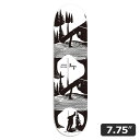 ylesquezKenya Okuno GOLF7.75C` XP XP[g{[h XP{[ fbL SKATEBOARD DECK