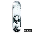 yPOLARzRoman Gonzalez DEMON CHILD8.275C` |[[ XP[g{[h XP{[ fbL SKATEBOARD DECK