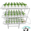 水耕栽培キット 水耕栽培 植物 野菜用具 植物育成 家庭菜園 室内 ベランダ 水耕栽培セット (108穴)