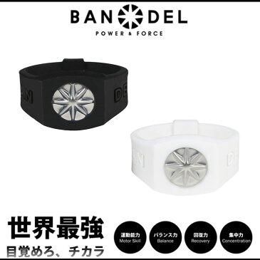 【着後レビューでBANDELグッズプレゼント！】BANDEL バンデル PLATE RING プレートリング 指輪