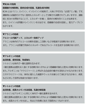 【着後レビューでBANDELグッズプレゼント！】BANDEL バンデル サプリ リカバリー ボディ スポーツドリンク 運動 スポーツ パワー 健康