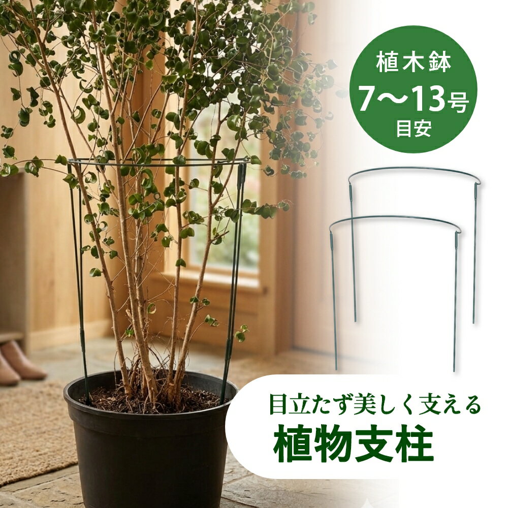 植物の美しい姿をキープする植物用支柱 ・雨や風で花や茎が倒れてしまう ・株が広がってまとまらない ・花が地面についてしまう ・支柱ちひもで固定するのが面倒 美しい姿を長く楽しむために ・倒れる前に美しい姿をキープ ・成長に合わせてしっかり支える ・広がる植物をすっきり整える 植物の自然な美しさを引き立てる ポイント1 植物に馴染むナチュラルグリーン 深みのあるグリーンカラーが葉や茎に自然に馴染み、植物の美しさを引き立てます。余計な存在感を与えず、大切な植物を主役にした美しい景観をキープします。 ポイント2 花や茎の倒れ込みをしっかりサポート 雨や風で倒れやすい植物を支え、美しい姿をキープ。背の高い花やボリュームのある植物の支柱として活躍するだけでなく、台風対策にも◎ ポイント3 ボリュームのある植物の形崩れ防止に 成長して広がりやすい植物を面で支えるので、効率的にすっきり整えられ、簡単に見栄えの良い状態を保てます。 ポイント4 丈夫なスチール製で長く使える 耐久性に優れたスチール製でしっかり植物を支えながら、繰り返し使用できます。 成長に合わせて使うなら、高さを変えられる連結式。小さな苗から背丈のある植物まで長く使えます。 ポイント5 工具不要！初心者でも簡単 植物の周りに差し込むだけで、ひもで固定する手間なく、初心者でも簡単に使えます。2個使いも、引っ掛けるだけでOK！ 使い方は植物に合わせて、自由にアレンジ可能 1、半円を横に連結させる 2、2個の半円を円形に組み合わせる 3、複数連結させて大きな植物にも◎ アイテム ガーデン・フラワーグッズ カ ラ ー グリーン タ イ プ 完成型 / 組立式 サ イ ズ 完成品：小φ20×H35cm（7～8号) / 大φ25×H60cm（10～13号)組立式：φ20 × H35cm（7～8号) / φ30×H65cm（11～13号) 材　　質 スチール 内　　容 2個 / 4個 / 6個入り ギ フ ト 引越し、新居、新生活、母の日、女性用ギフト、男性用ギフトなどにおすすめです。 対応鉢サイズは目安です。植物の大きさや株張りによって適したサイズは異なります。 植物の成長に合わせて位置を調整しながらご使用ください。 強風などによる転倒や破損を完全に防ぐものではありません。 製造工程上、サイズには若干の誤差が生じる場合がございます。 組立式はパーツを組み立ててからご使用ください。 組立式はサイズによって付属する支柱の本数が異なります。 植物・鉢は付属しません。 海外商品のため、輸送に伴う小傷やスレ等が外装や本体にある場合がございます。 モニターにより、色の見え方が実際の商品と異なる場合がございます。 当店では、WEBの在庫と店頭の在庫を共有しております。迅速に対応はしておりますが完売してしまった場合ご用意出来ない場合もございます。予めご了承下さい。