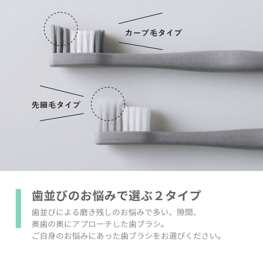 marna マーナ fit歯ブラシ カーブタイプ 先細タイプ 歯並びの専門医と開発 すき間フィット設計 奥歯フィット設計 コンパクト台形ヘッド