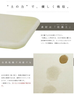 soil ソイル バスマット スクエア(bath mat square) 珪藻土 速乾 薄型パルプ入りタイプ イスルギ 吸水 吸湿 トリックハンター スマステ Nスタ テレビ放映 お風呂特集 引っ越し 新生活 母の日