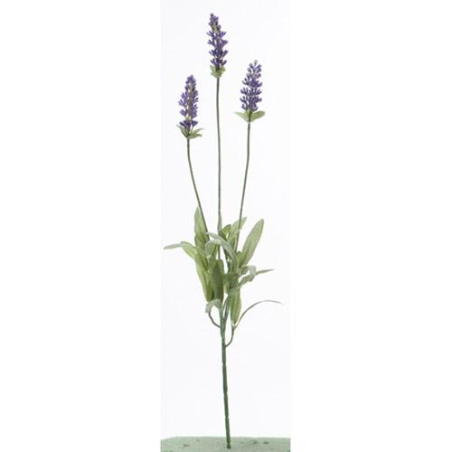 ƥꥢLivinLovin㤨֡ڥ٥ۡ¤֡ۥ٥ ¤֡פβǤʤ660ߤˤʤޤ