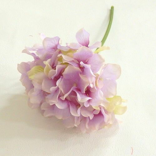 ƥꥢLivinLovin㤨֡¤֡ۡڥ󥸥ȡ¤ ϥɥ󥸥 ԥå ٥פβǤʤ528ߤˤʤޤ