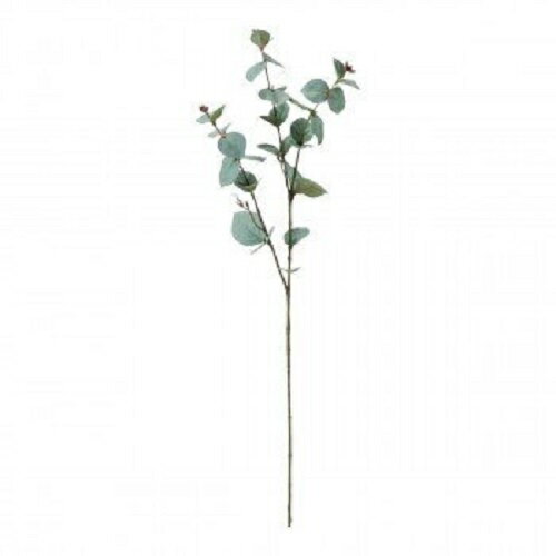 【アイビー】【ハンギング】ユーカリ スプレー ブルー/グリーン