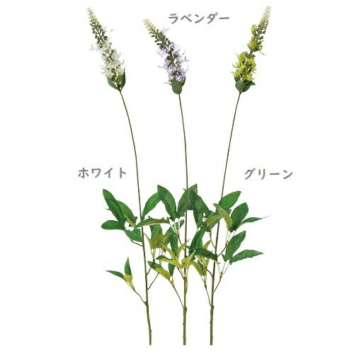 ƥꥢLivinLovin㤨֡ڥ٥ۡ¤֡ۥ٥ ¤ ٥ 1 1ܡפβǤʤ528ߤˤʤޤ