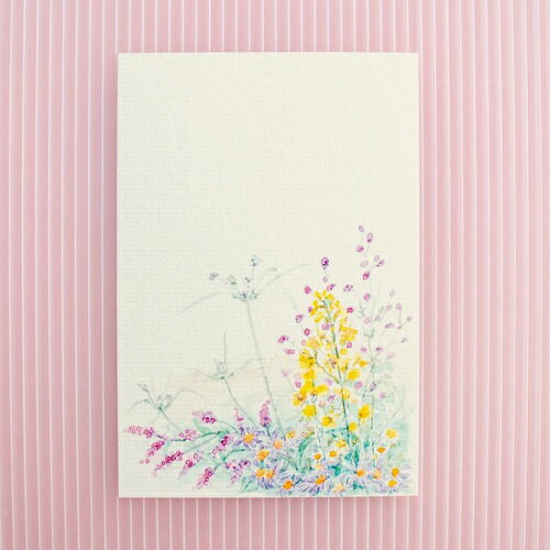 【絵はがき】【ハガキ】はがき 秋の花 季節のはがき