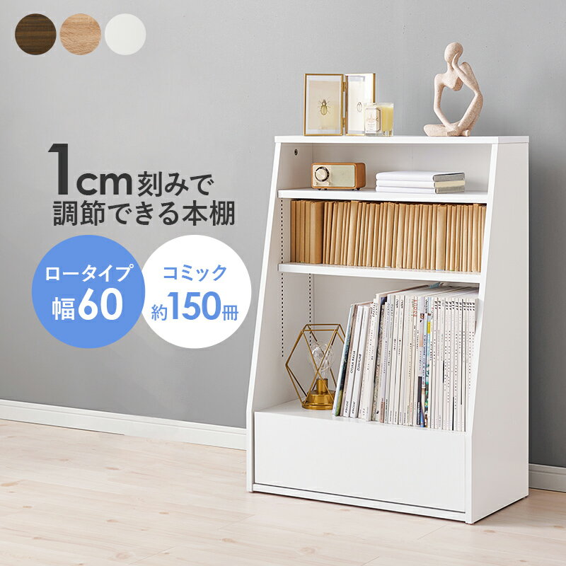 Rakuten - ブックラック 本棚 書棚 シェルフ 1cm調整 オープンラック RCC-1906 『ブックラック【幅60 ロータイプ】』 【送料：北海道1500円・沖縄・離島は別途運賃かかります】