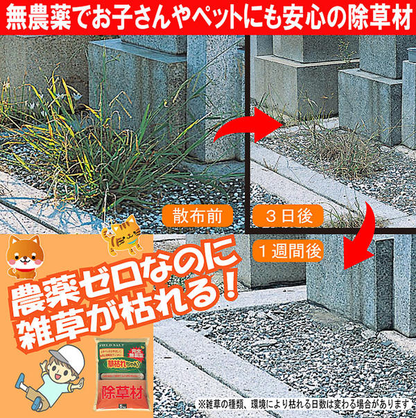 完全無農薬で安心無害な除草材 草枯れちゃん【5kg】 除草剤 根まで枯らす 雑草対策...