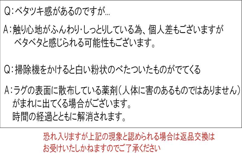 ラグ 洗濯機ウォッシャブル 抗菌・防臭 遊び毛が出にくい 防虫 「防ダニ・抗菌・消...