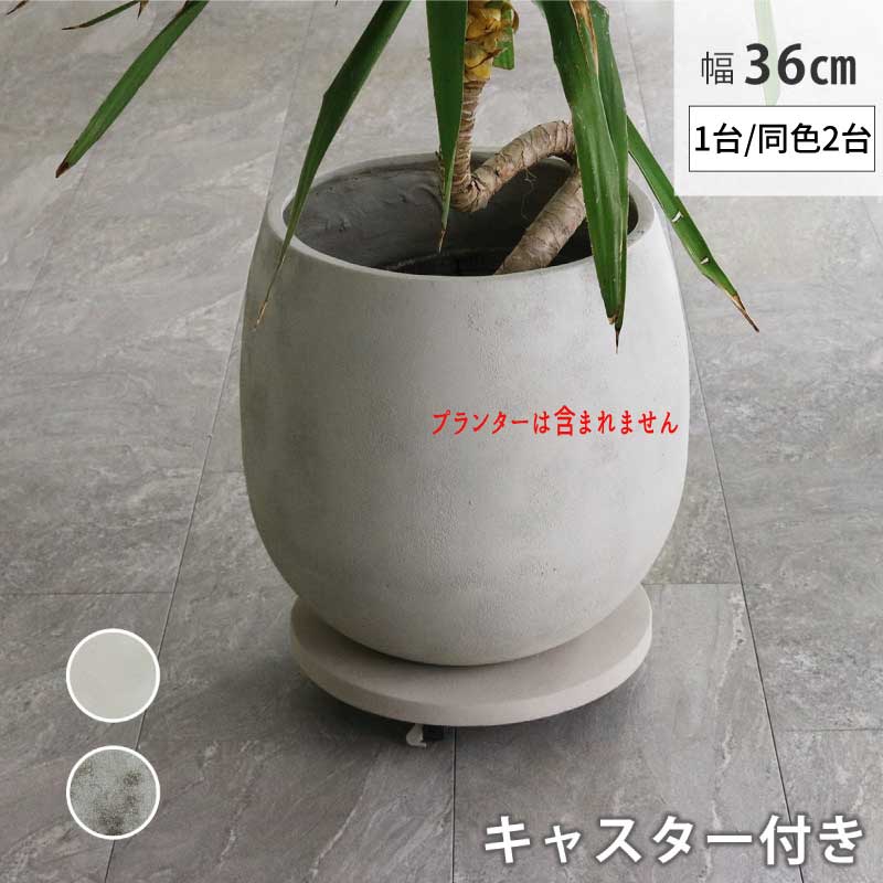 Rakuten - セメント キャスター台 トレイ プランター台 キャスター付き 円 おすすめ 通販 TR360　『セメント製キャスター付きプランターキャリー36cm【1台/同色2台組】 』 【送料：北海道1000円/沖縄・離島は別途運賃かかります】