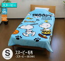 スヌーピー あったか毛布・スヌーピー(BONK)(シングルサイズ)送料無料 140×200cm シングル 洗える ウォッシャブル 寝具 ブルー ひざ掛け ブランケット 秋冬春夏 あったか かわいい キッズ スヌーピー