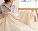 【送料無料】 20色から選べるマイクロファイバー毛布・パッド　毛布単品　クイーン