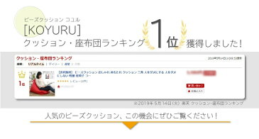 【更にP5倍★本日12:00〜23:59】 ビーズクッション 背もたれ クッション 三角 人をダメにする 人をダメにしない 軽量 座椅子 コンパクト ビーズ ソファー 合皮 レザー 布地 デニム 撥水 取っ手 ギフト プレゼント 母の日