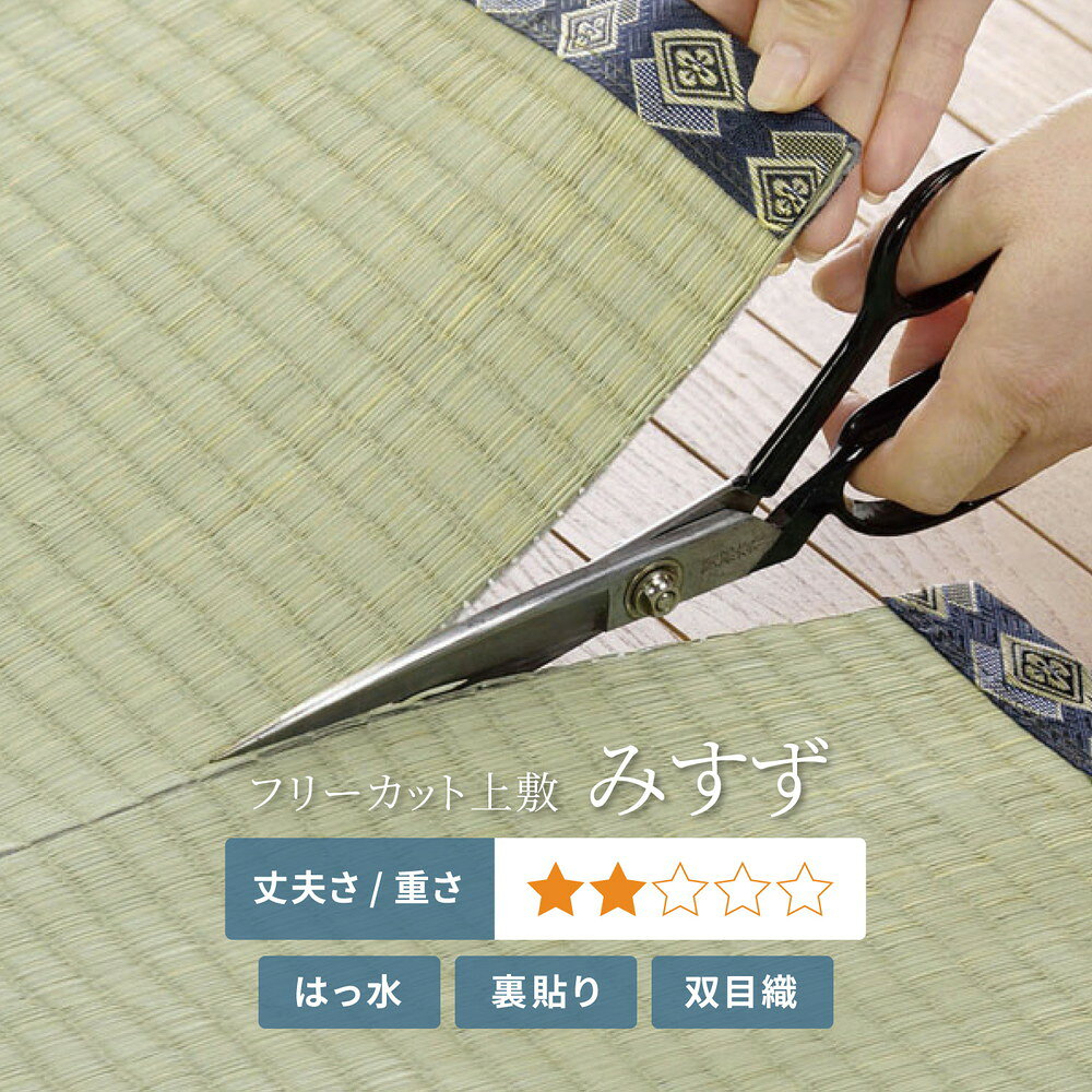 フリーカット裏付き い草カーペット みすず 本間 6帖(286×382) [2]