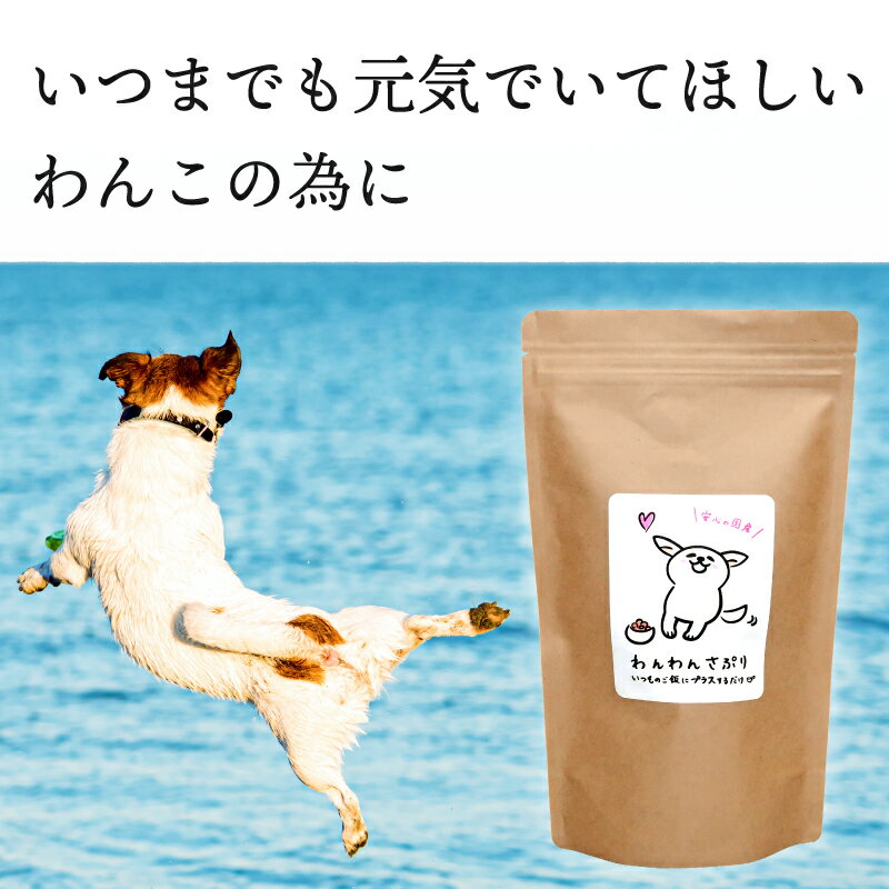 わんちゃん用サプリメントで健康管理を 無添加国産 腸内環境 改善 犬用 サプリメント わんわんさぷり 500g ドッグフード 犬 シニア 老犬 絶妙なデザイン 小型犬 サプリ 皮膚 防止 アレルギー 下痢 送料無料 皮膚炎 下痢止め 軟便 栄養保管食 目 ペットフード 口臭