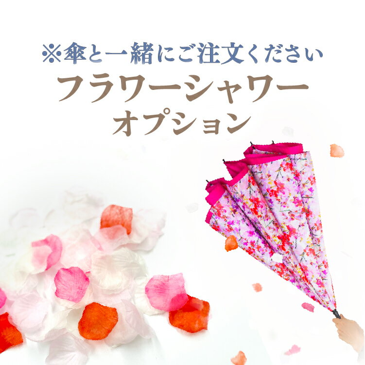 ※オプション※ フラワーシャワーオプション 【本品の単体購入不可】 【CARRY saKASA フラワーモデル 花束ラッピング専用オプション】 ギフト フラワーシャワー プレゼント 誕生日 お祝い ギフト 母の日 クリスマス 就職祝い 結婚記念日 サムシングブルー