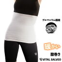 腹巻 存在を忘れるフィット感 高級 着圧 ウエストウォーマー【VITAL SALVEO バイタルサルヴェオ 】高伸縮 腹部ウォーマー 腰 お腹 温かい 暖かい ...