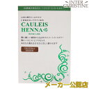 コーリーズ ヘナ ホームケア ショコラブラウン (ヘナパウダー70g+プレトリートメントジェルEX30 30ml) /メーカー公認店/正規品/