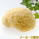 グリーンノート 天然海綿スポンジ ボディ用 /メーカー公認店/正規品/