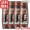 【選べるプレゼント付】【セット】ナチュールバイタル　カラーセーフヘアマスク　ナッツ　300ml×4本セット /メーカー公認店/正規品/