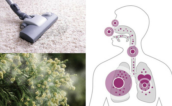 �졼�����饤�ʡ� PM2.5��˥��� ��������˥����ԥ奢 082431J | ���ٷ� ���ٷ� �ǥ����벹���ٷ� �ǥ�������� �ǥ����� ���� ������ ¬��� ���� ���� ����¬�� ����¬�� ��ӥ� ���� �֤���� �٥ӡ� ����