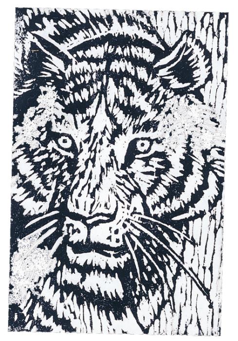 樂天商城 - 【法人・個人事業主様限定】アーテック 朴版木 B 倍判（200x150x10） atc-20311