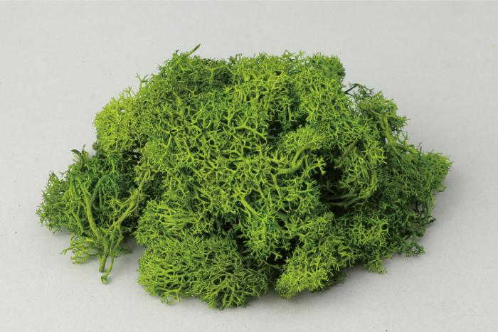 樂天商城 - 【法人・個人事業主様限定】アーテック アイスランドモスフレッシュグリーン atc-47756