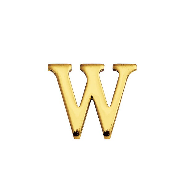 【ゴーリキアイランド】 ブラスレター 30 S w | おしゃれ ドア ネームプレート 表札 玄関 ガーデン 切文字 ロゴ 店舗 オフィス サインプレート 飾り インテリア DIY アルファベット 装飾物 装飾品 装飾 真鍮 切り文字 リビング エン