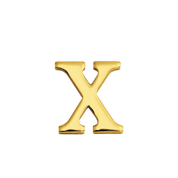 【ゴーリキアイランド】 ブラスレター 30 S x | おしゃれ ドア ネームプレート 表札 玄関 ガーデン 切..