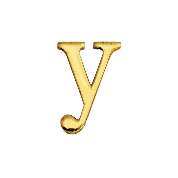【ゴーリキアイランド】 ブラスレター 30 S y | おしゃれ ドア ネームプレート 表札 玄関 ガーデン 切文字 ロゴ 店舗 オフィス サインプレート 飾り インテリア DIY アルファベット 装飾物 装飾品 装飾 真鍮 切り文字 リビング エン