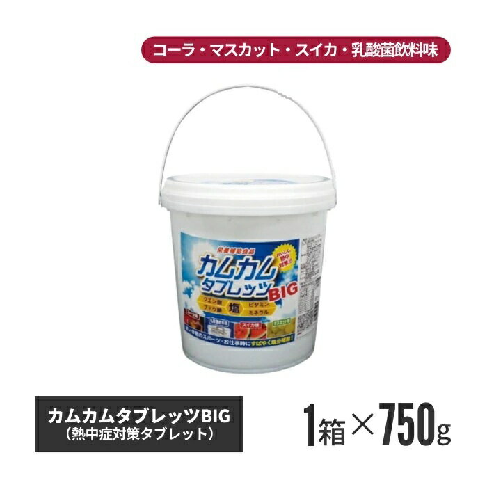 【法人・個人事業主様限定】昭和商会 カムカムタブレッツBIG 4個セット n24-54-04 | ブドウ糖 ぶどう糖 ビタミン ミネラル 塩 塩分補給 熱中症 対策 暑さ対策 グッズ しお 塩タブレット タブのサムネイル