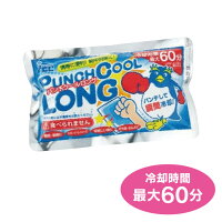 【法人・個人事業主様限定】【代引き不可】N12-13パンチクールロング(1000044)