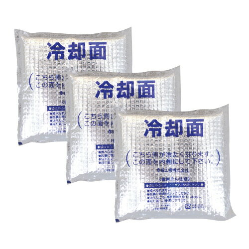 ユニット夏季 交換用アイスパック3個セット ho-8021 | アイスパック 保冷剤 保冷材...