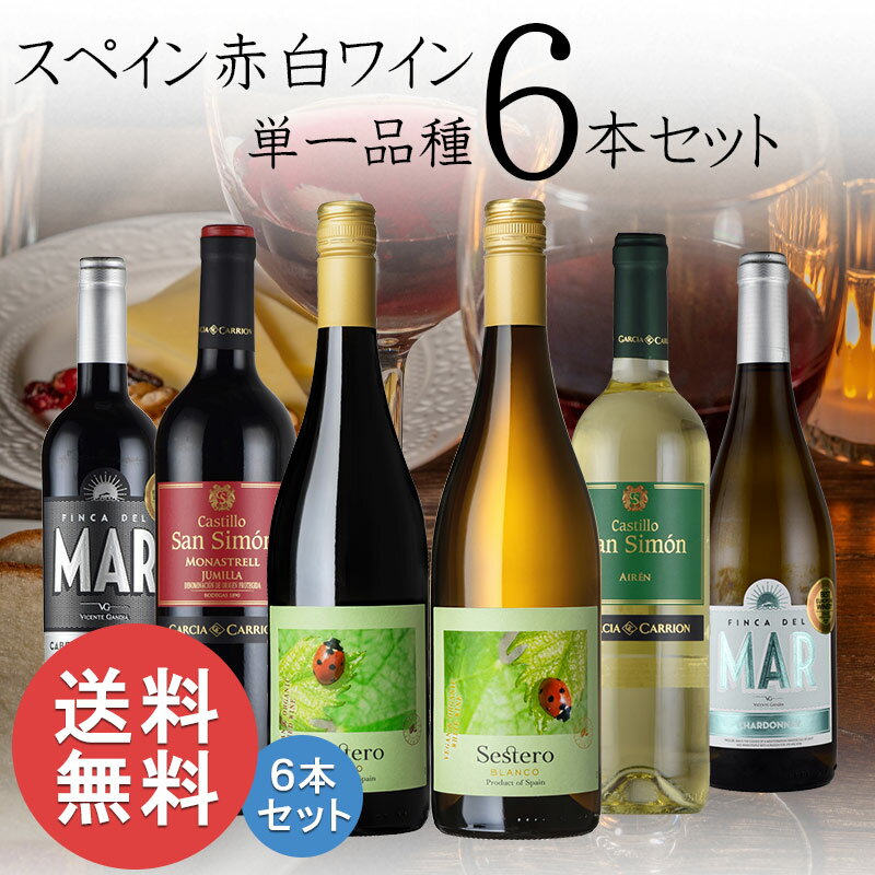 スペイン ワイン 単一品種 赤白飲み比べ6本セット 送料無料 ソムリエ ワインエキスパート 試験対策 にも お中元 inter-mic-10001555 ワイン・日本酒の神田商店 サンプル画像2