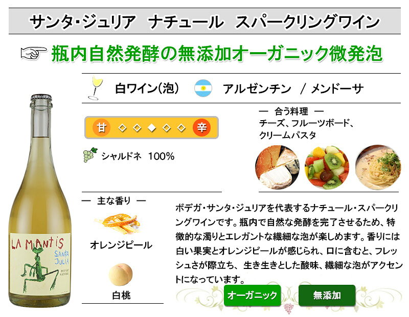 サンタ・ジュリア ナチュール スパークリングワイン 酸化防止剤無添加 オーガニック アルゼンチン シャルドネ 微発泡 inter-mic-10001689 ワイン・日本酒の神田商店 サンプル画像2