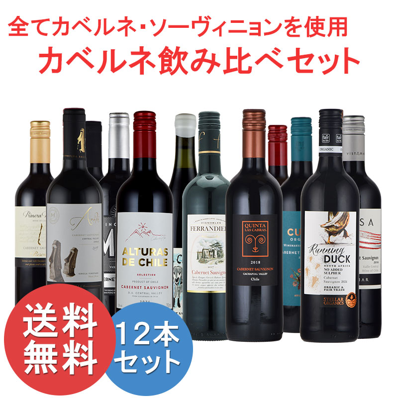 赤ワインセット カベルネ・ソーヴィニョン を使用した赤ワインセット 12本 送料無料 ハロウィン ワイン inter-mic-10000934 ワイン・日本酒の神田商店 サンプル画像2