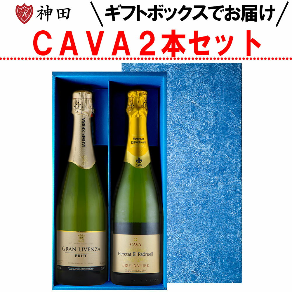 スパークリング ワイン ギフト 2本 セット スペイン カバ カヴァ cava ハウメ・セラ 辛口 極辛口 750mlx2本 父の日