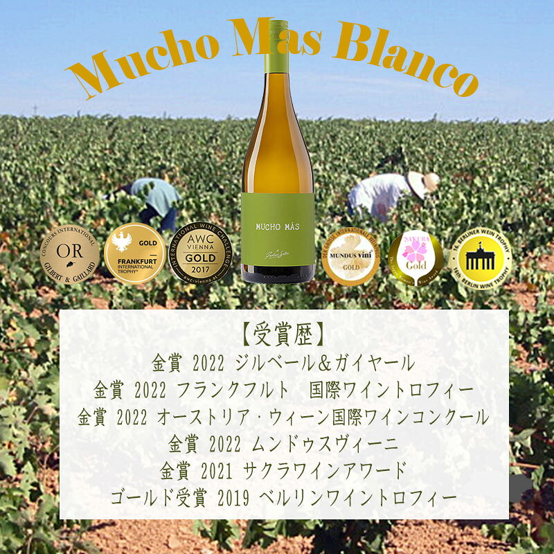 ムーチョ・マス 白 ワイン スペイン 辛口 6個のコンクール で 金賞受賞 inter-mic-10001588 ワイン・日本酒の神田商店 サンプル画像3