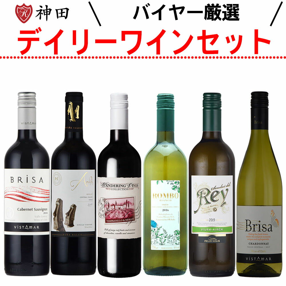 厳選 コスパ デイリー ワイン セット 赤 白 送料無料 6本セット 飲み比べ wine set 母の日