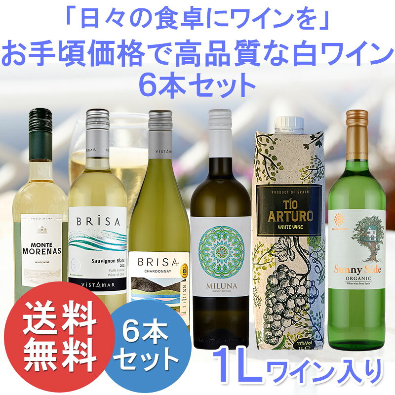 気軽に楽しめる スクリューキャップ 白ワイン 6本セット デイリー ワイン 辛口 ヨーロッパ チリ 保存に便利 送料無料 ハロウィン inter-mic-10001709 ワイン・日本酒の神田商店 サンプル画像2