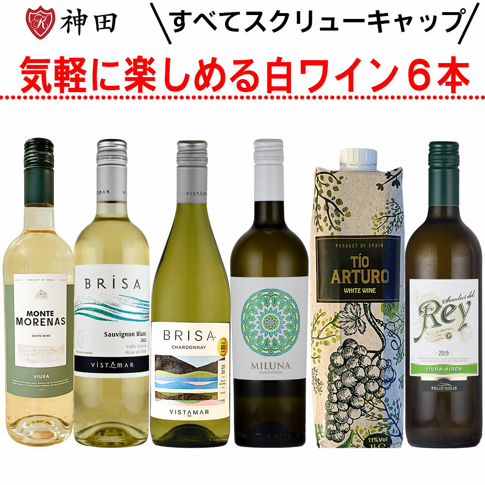 ���ڤ˳ڤ���륹����塼����åפ���磻��6�ܥ��å� �ǥ��꡼ �磻�� �Х�󥿥���