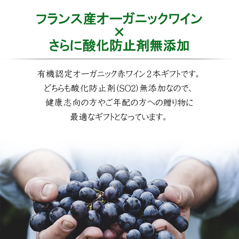 お中元 酸化防止剤 無添加 ナチュラルワイン オーガニック 赤 ワイン 2本 ギフト フランス 送料無料 SO2無添加 inter-mic-10001321 ワイン・日本酒の神田商店 サンプル画像3
